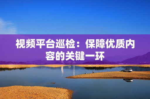 視頻平臺巡檢：保障優質內容的關鍵一環