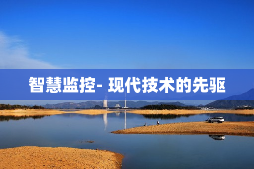 智慧監(jiān)控- 現(xiàn)代技術(shù)的先驅(qū)