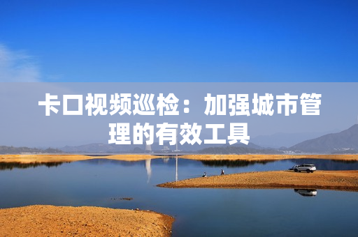 卡口視頻巡檢：加強城市管理的有效工具