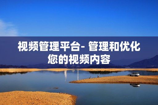 視頻管理平臺- 管理和優化您的視頻內容