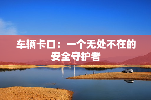 車輛卡口：一個無處不在的安全守護者