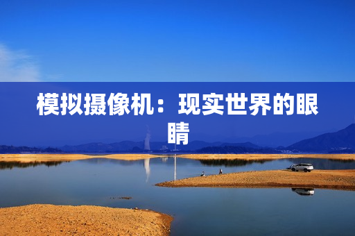 模擬攝像機：現實世界的眼睛