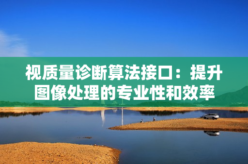 視質(zhì)量診斷算法接口：提升圖像處理的專業(yè)性和效率