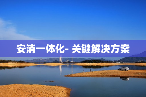 安消一體化- 關鍵解決方案