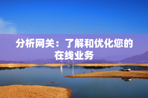 分析網(wǎng)關(guān)：了解和優(yōu)化您的在線業(yè)務(wù)