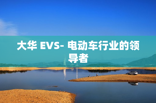 大華 EVS- 電動(dòng)車行業(yè)的領(lǐng)導(dǎo)者