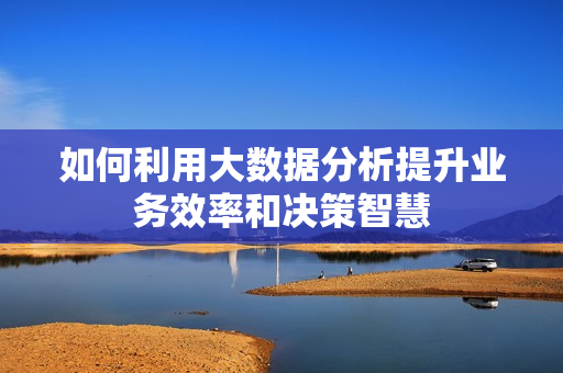 如何利用大數據分析提升業務效率和決策智慧
