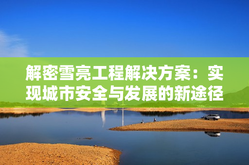 解密雪亮工程解決方案：實現城市安全與發展的新途徑