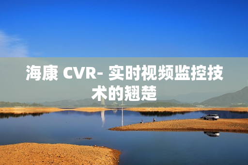 海康 CVR- 實時視頻監控技術的翹楚
