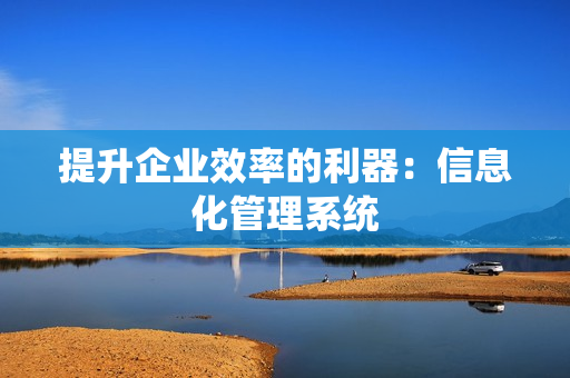 提升企業效率的利器：信息化管理系統