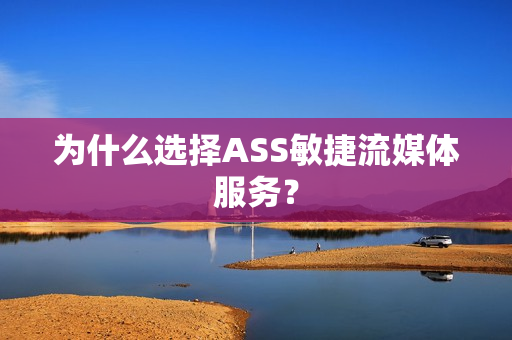 為什么選擇ASS敏捷流媒體服務？