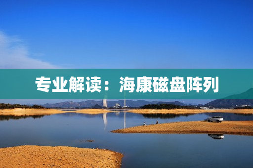 專業解讀：海康磁盤陣列