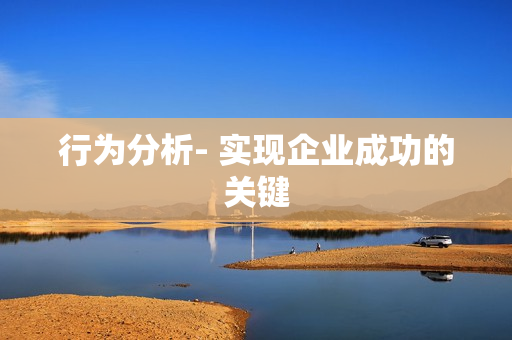 行為分析- 實(shí)現(xiàn)企業(yè)成功的關(guān)鍵