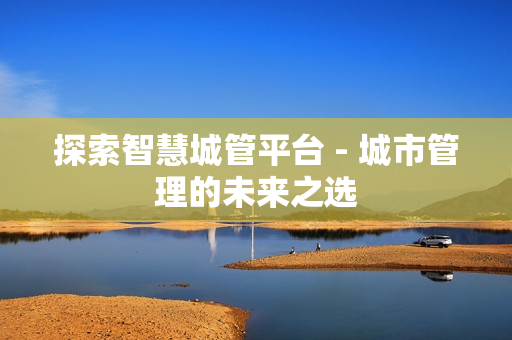 探索智慧城管平臺 - 城市管理的未來之選