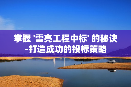 掌握 '雪亮工程中標' 的秘訣-打造成功的投標策略