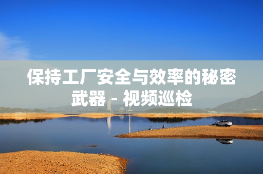 保持工廠安全與效率的秘密武器 - 視頻巡檢