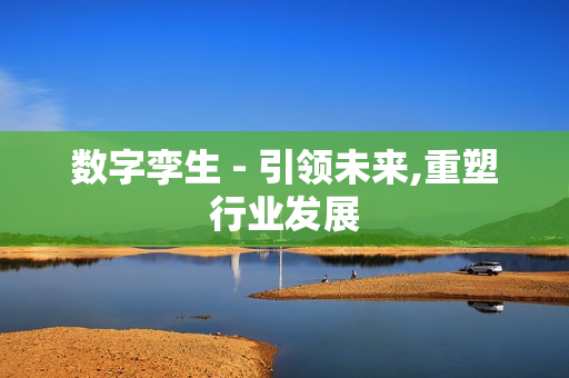 數字孿生 - 引領未來,重塑行業發展