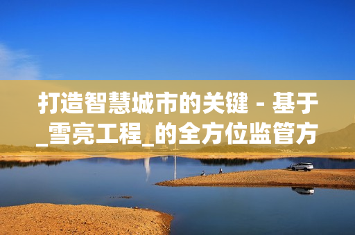 打造智慧城市的關鍵 - 基于_雪亮工程_的全方位監管方案