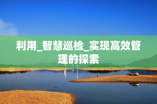 利用_智慧巡檢_實(shí)現(xiàn)高效管理的探索