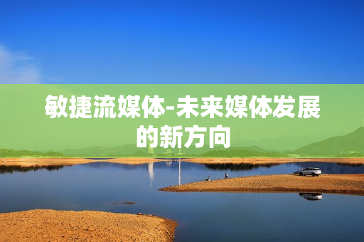 敏捷流媒體-未來媒體發展的新方向