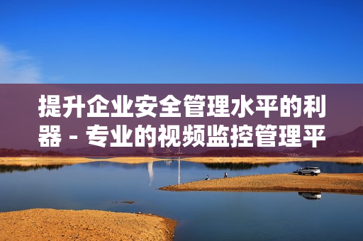 提升企業安全管理水平的利器 - 專業的視頻監控管理平臺