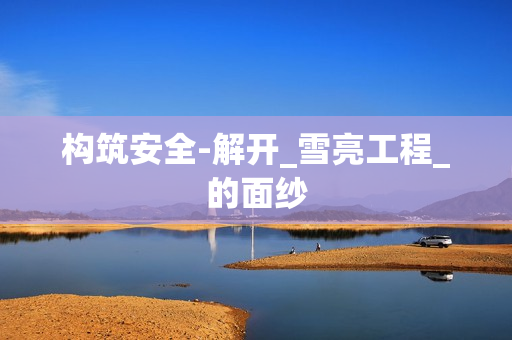 構筑安全-解開_雪亮工程_的面紗