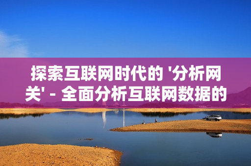 探索互聯網時代的 '分析網關' - 全面分析互聯網數據的關鍵