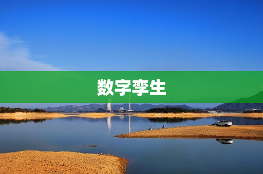 數字孿生