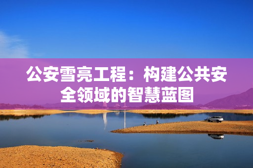 公安雪亮工程：構建公共安全領域的智慧藍圖