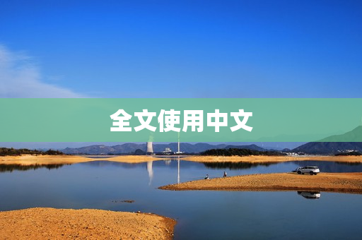 全文使用中文