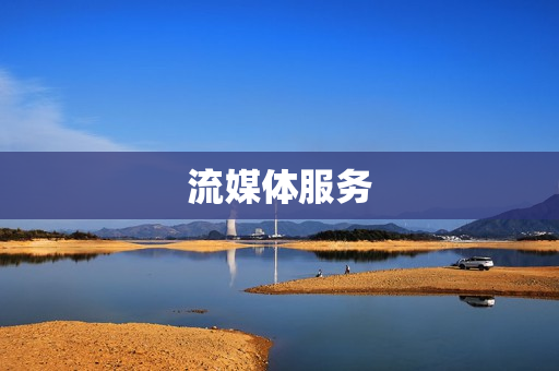 流媒體服務