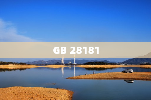GB 28181