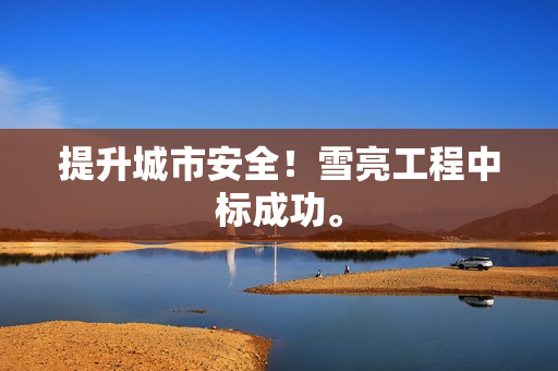 提升城市安全！雪亮工程中標成功。