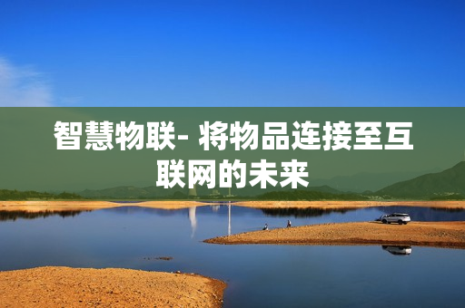 智慧物聯(lián)- 將物品連接至互聯(lián)網(wǎng)的未來(lái)