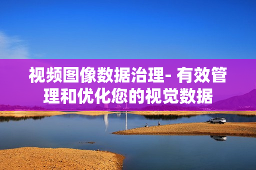 視頻圖像數(shù)據(jù)治理- 有效管理和優(yōu)化您的視覺數(shù)據(jù)