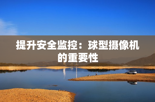 提升安全監(jiān)控：球型攝像機的重要性