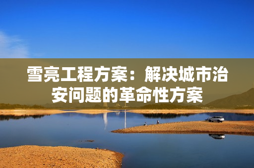 雪亮工程方案：解決城市治安問題的革命性方案