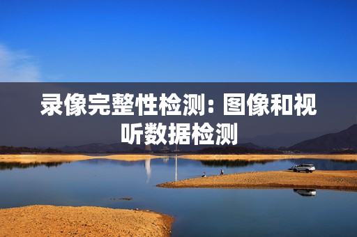 錄像完整性檢測: 圖像和視聽數(shù)據(jù)檢測