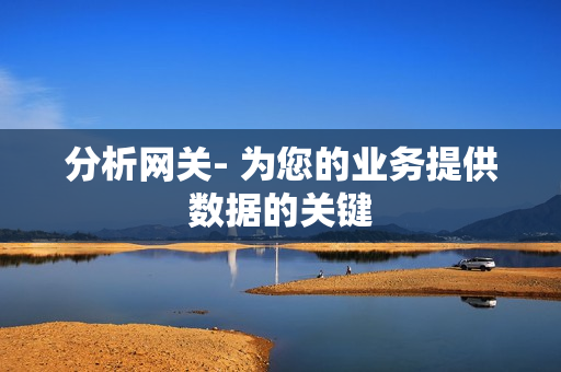 分析網關- 為您的業務提供數據的關鍵