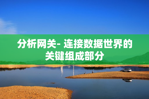 分析網(wǎng)關(guān)- 連接數(shù)據(jù)世界的關(guān)鍵組成部分