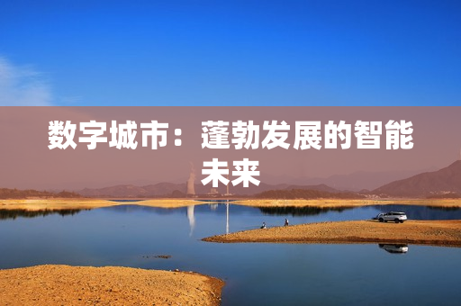 數字城市：蓬勃發展的智能未來